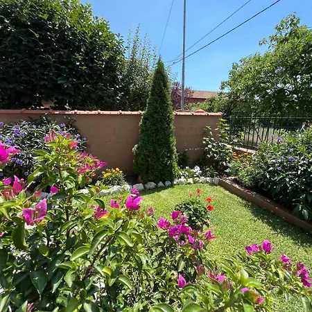 Alexander Tatil Evi *