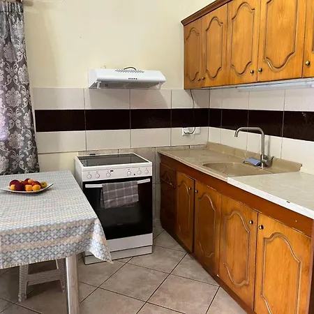 Alexander 브래스나