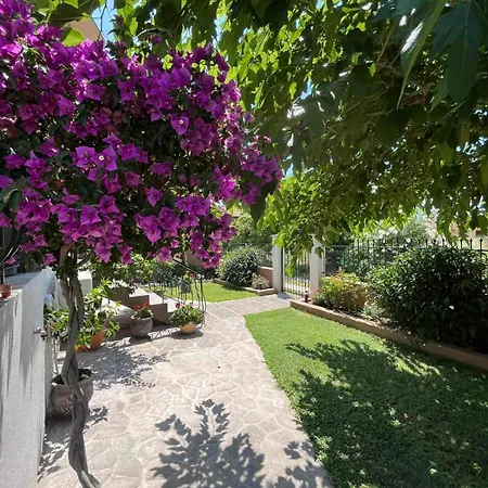 Casa vacanze Alexander *