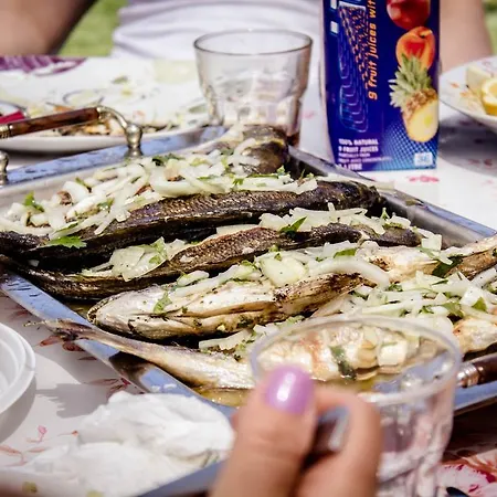 Vakantiehuis Alexander *