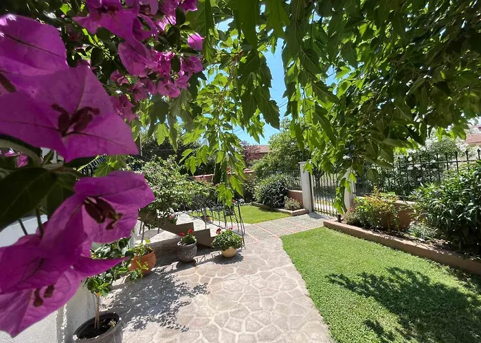 度假居 Alexander *