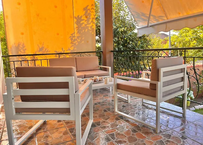 Alexander * 弗拉斯纳